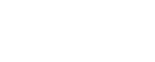 logo-sanicool